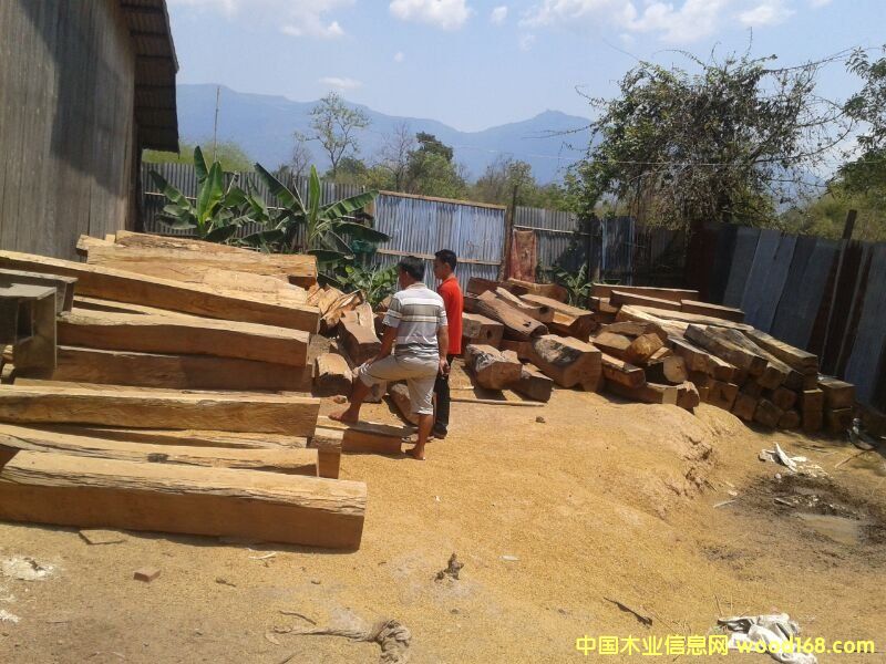 �ϓ뻨��ľ��Ԕ��(x��)��B