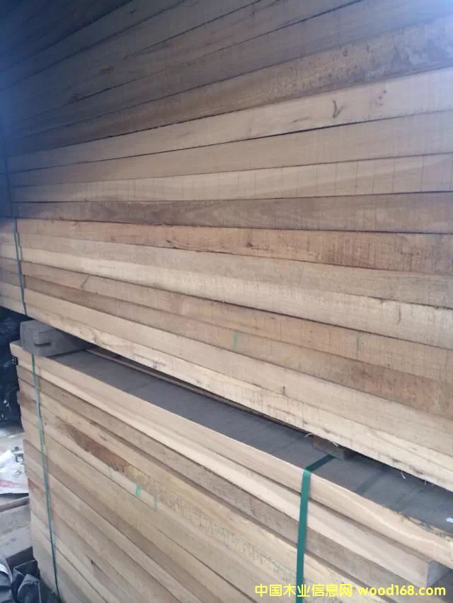 榆木的詳細(xì)介紹