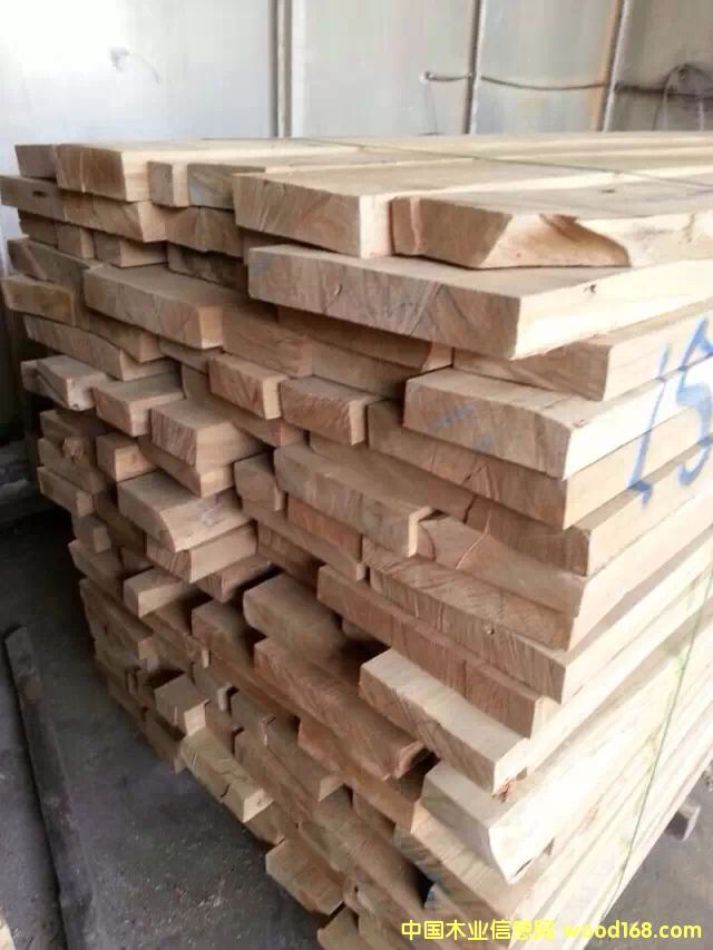 俄羅斯榆木的詳細(xì)介紹