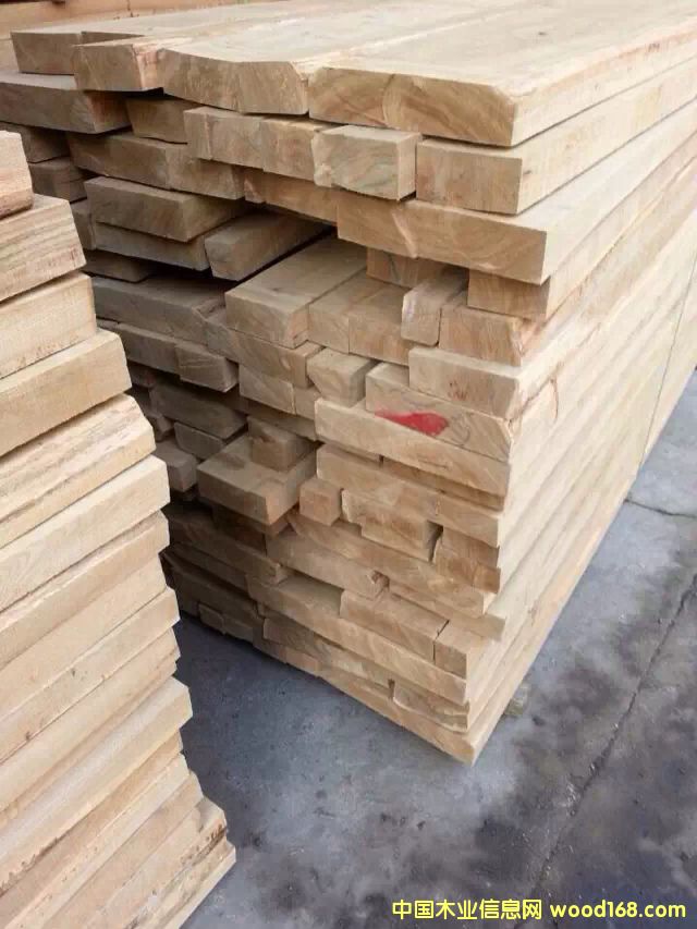 俄羅斯榆木的詳細(xì)介紹