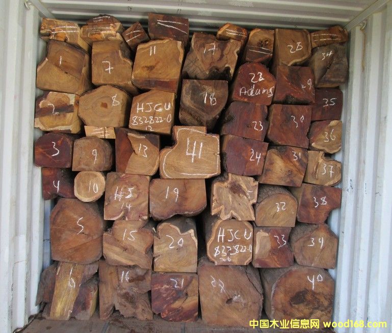 �����S�������������������̴