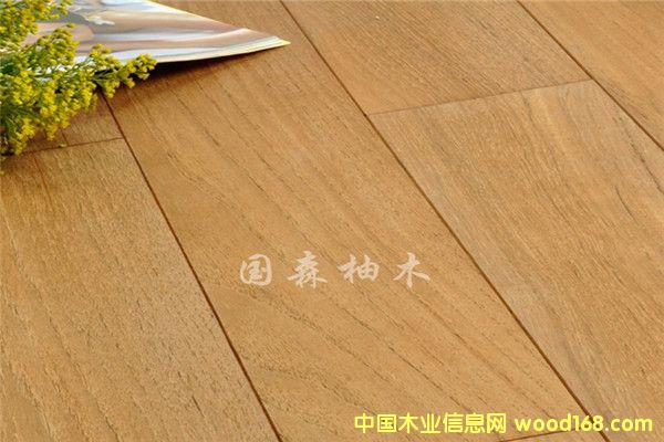 �V�݇�ɭ��ľ�ذ��Ԕ��(x��)��B