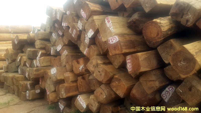 ������֦��Ԕ����B