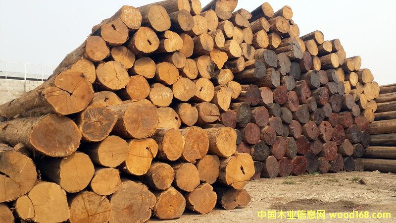 ������ľԭľ��Ԕ����B