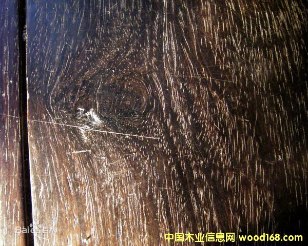 �������֦��Ԕ����B