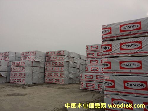 SPF���ɰ��-�Ӹ���Ԕ��(x��)��B