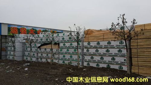 ����SPF-��˹����Ԕ��(x��)��B