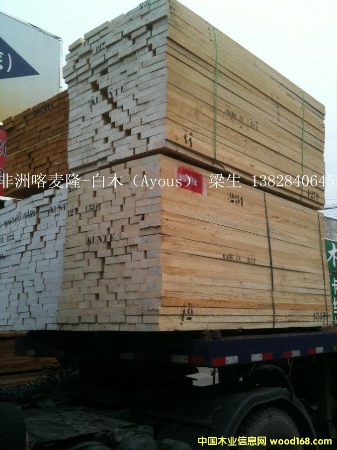 ���ް�ľ��Ayous��