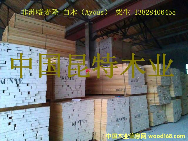 ���ް�ľ��Ayous��