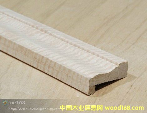 白影的詳細(xì)介紹