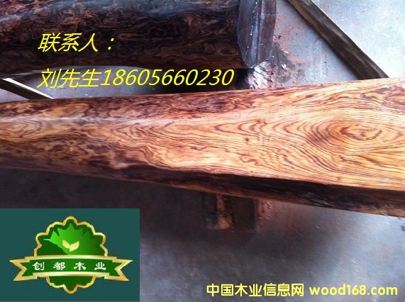 ���~�S����