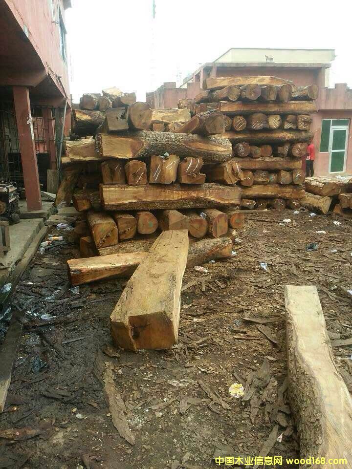 �����S����ԭľ��Ԕ��(x��)��B