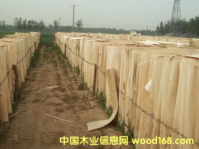 次面板的詳細介紹