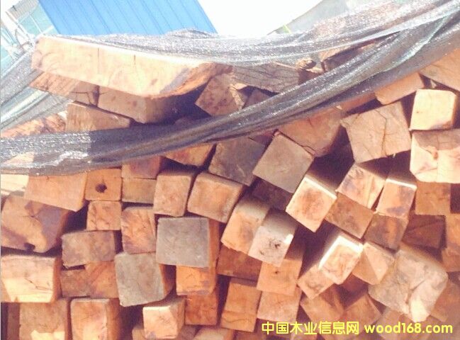 �����Ԕ����B