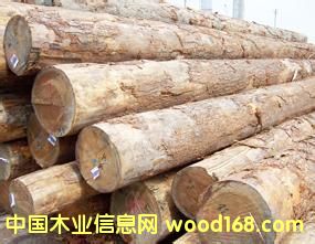 ����(y��ng)���黨��ľԭľ���tľԭľ����ڏ�ԭľ�����飩