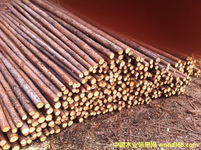 ɼԭľ��Ԕ��(x��)��B