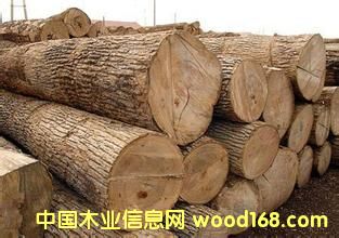 ����̴��ԭľ