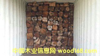 ���������������Ԕ����B