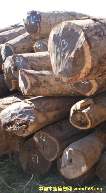 ٝ�ȁ�Ѫ̴��Ԕ��(x��)��B