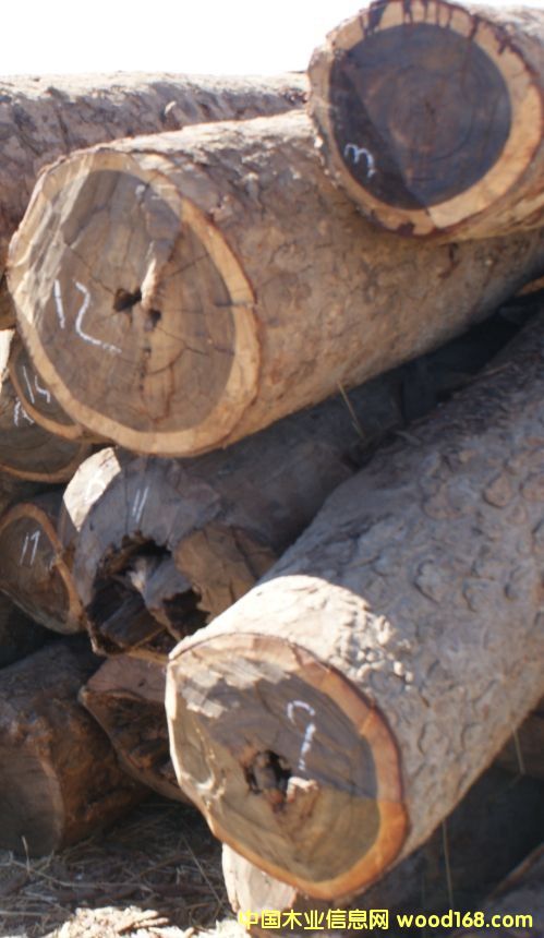 ٝ�ȁ�Ѫ̴��Ԕ��(x��)��B