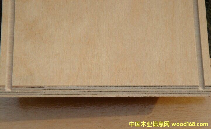 WBP��ˮ�ذ���ĵ�Ԕ����B