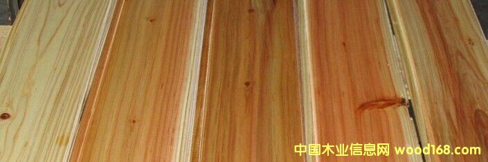 ���o���ᣩɼľ����