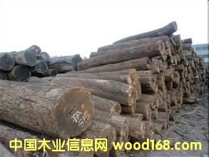 ����(y��ng)����̴��ԭľ