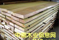 ɽ��ľ��Ԕ��(x��)��B