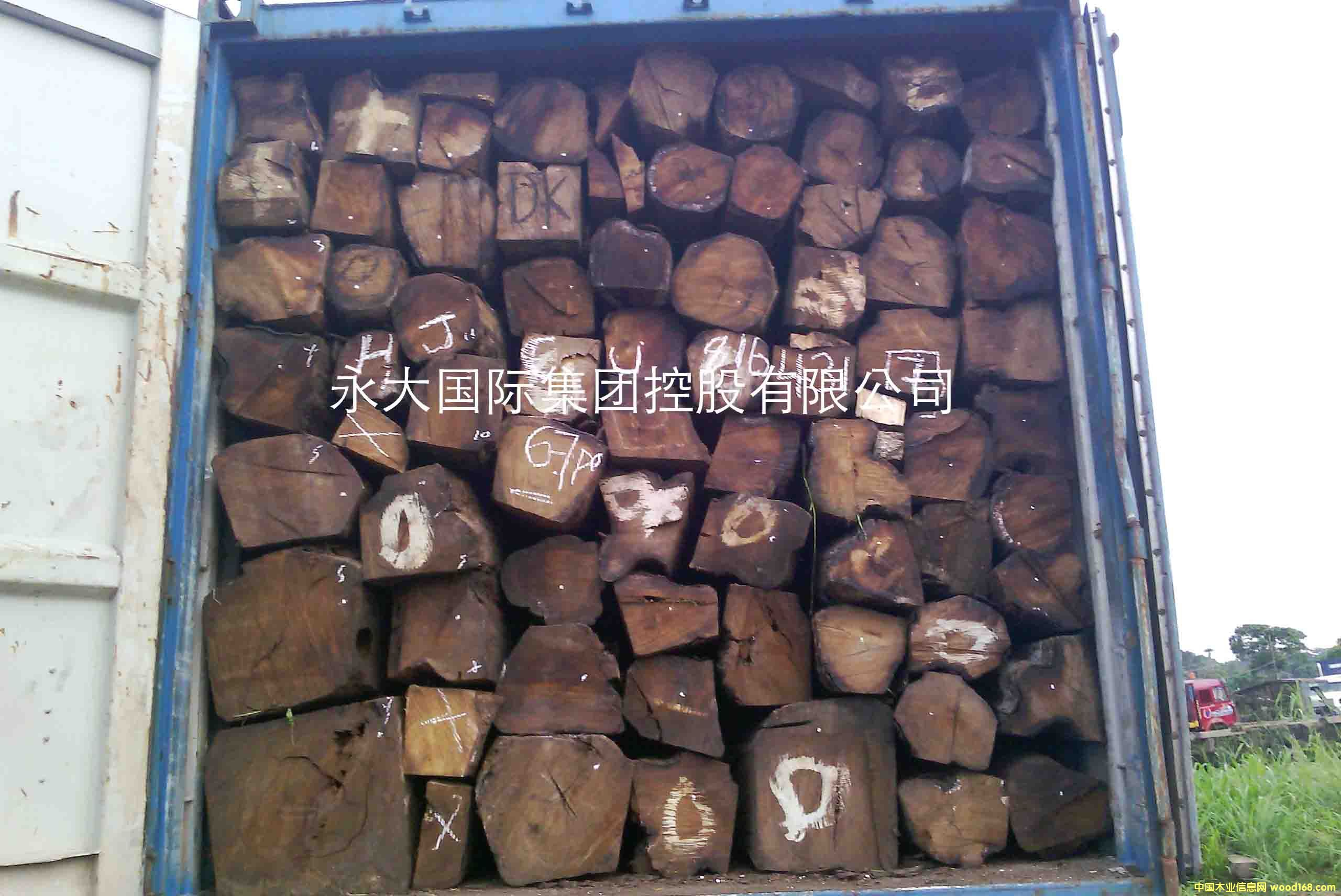 �������� - �����S����/�����̴/���ށ�����KOSSO