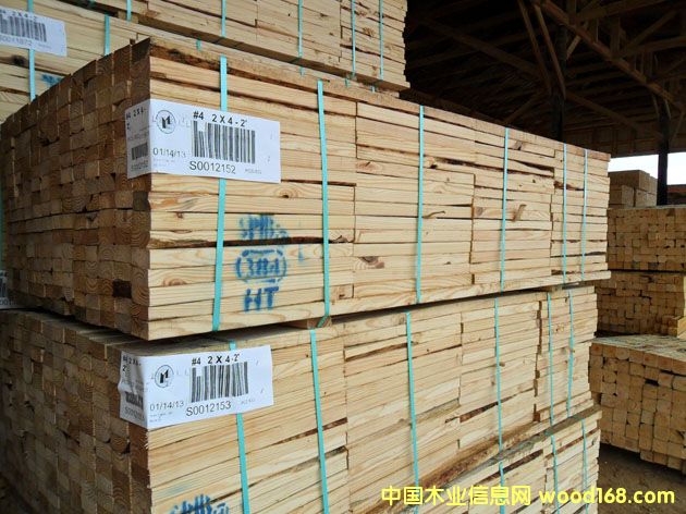 �Ϸ���Southern Yellow Pine logs