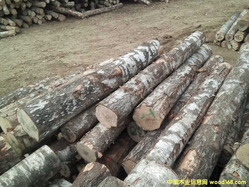 �M(j��n)�ڇ�(gu��)���ľ�N�۵�Ԕ��(x��)��B