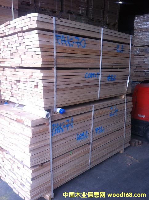 櫸木的詳細(xì)介紹