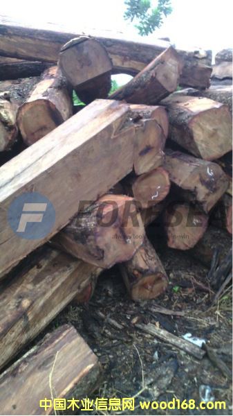 ����������S��������̴��Ԕ��(x��)��B