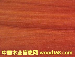 ���B(t��i)�屳���Ԕ����B