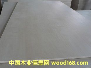 E0,E1�����Ӱ����ߙn�Ƶ�Ҿ߰���9���z�ϰ�