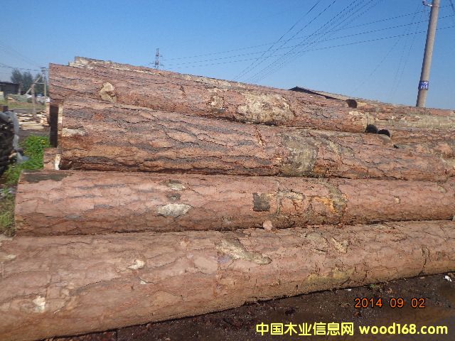 ����ԭľ��Ԕ��(x��)��B