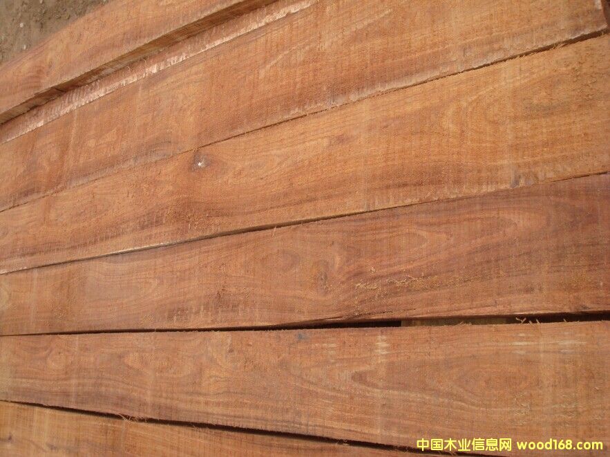 ��֬���� ˮ��