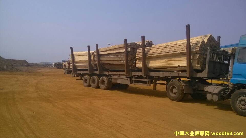 ��ľ��Ԕ��(x��)��B