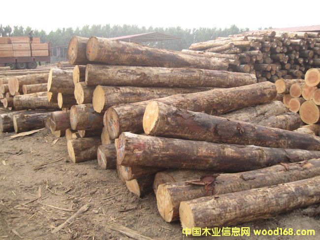 ���ɵ�Ԕ��(x��)��B