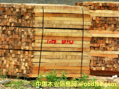 ��ľ��Ԕ��(x��)��B