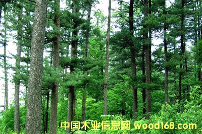 ��(ji��n)Ҫ�������I(y��)�M(j��n)�ڼҾ߈�(b��o)�P(gu��n)��(b��o)�z�����Ϻ��C(j��)��(ch��ng)��(b��o)�P(gu��n)��