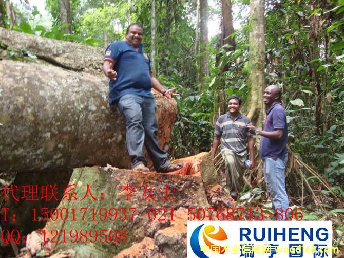 ��֪��ô�ň�(b��o)�P(gu��n)�M(j��n)�ڰ������Fľ����Ҫ��Щ�C���ļ�