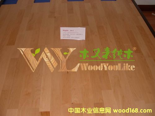 ľ�ց�?xi��ng)�ľ�?sh��)ľ��(qi��ng)���ذ�