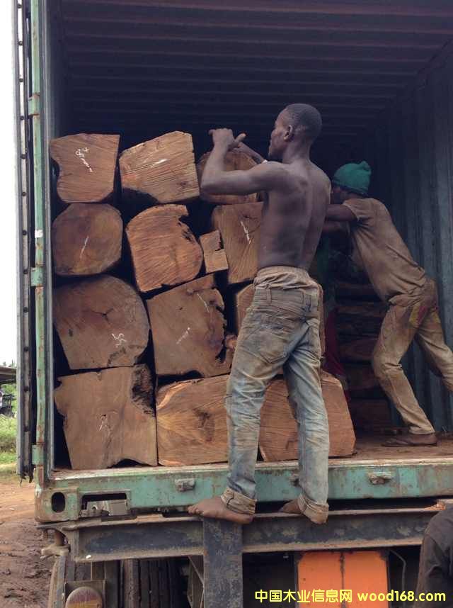 �Ӽ{�������Ԕ����B