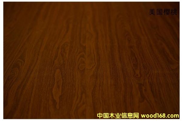 �����谷���B(t��i)��