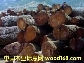 ����(y��ng)��ɏľԭľ