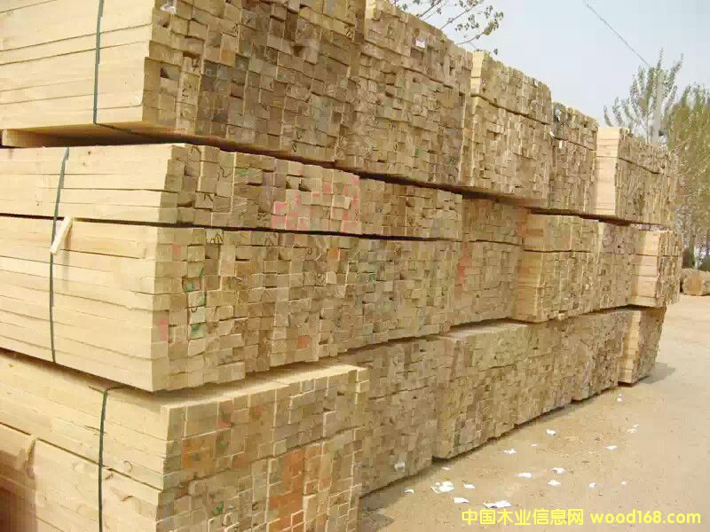 樺木木方的詳細(xì)介紹