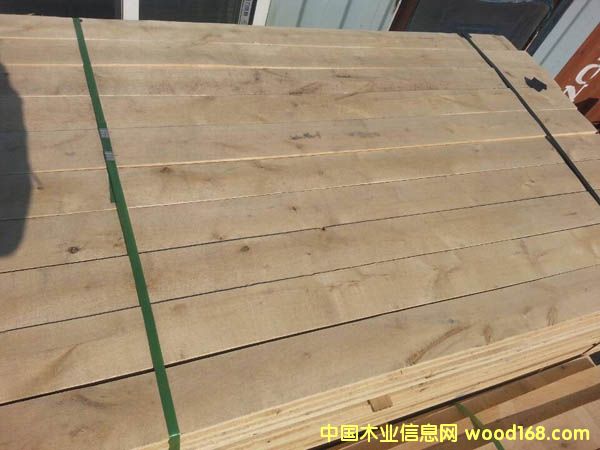 樺木板材的詳細(xì)介紹