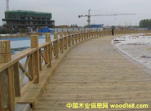 ����ľľ��