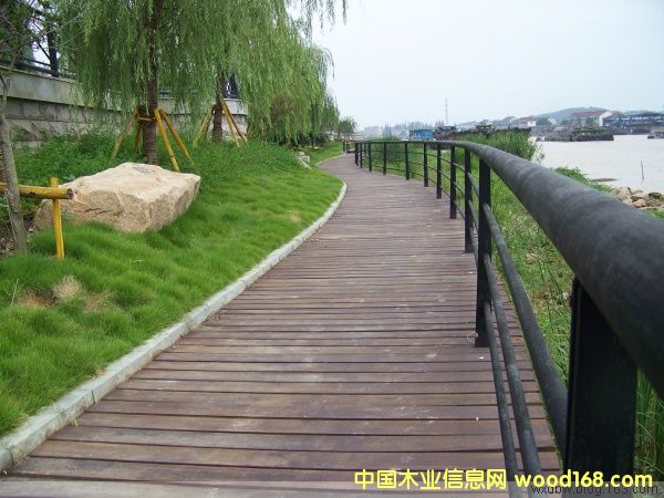 ɽ������ľ����